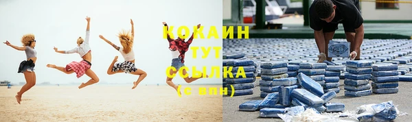 дурь Тавда