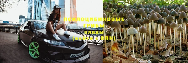 эйфоретик Белоозёрский