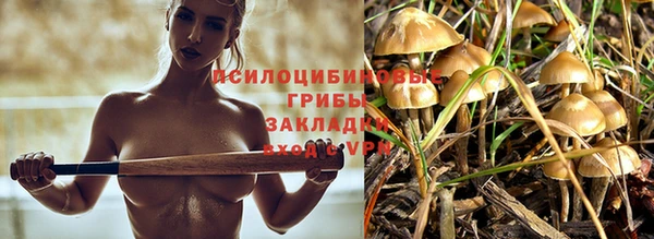 ALPHA-PVP Белокуриха