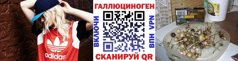 гидра как войти  Володарск  Галлюциногенные грибы Psilocybe  магазин продажи  
